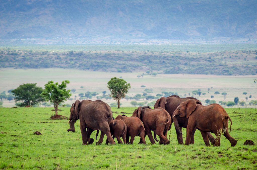 Kidepo Valley