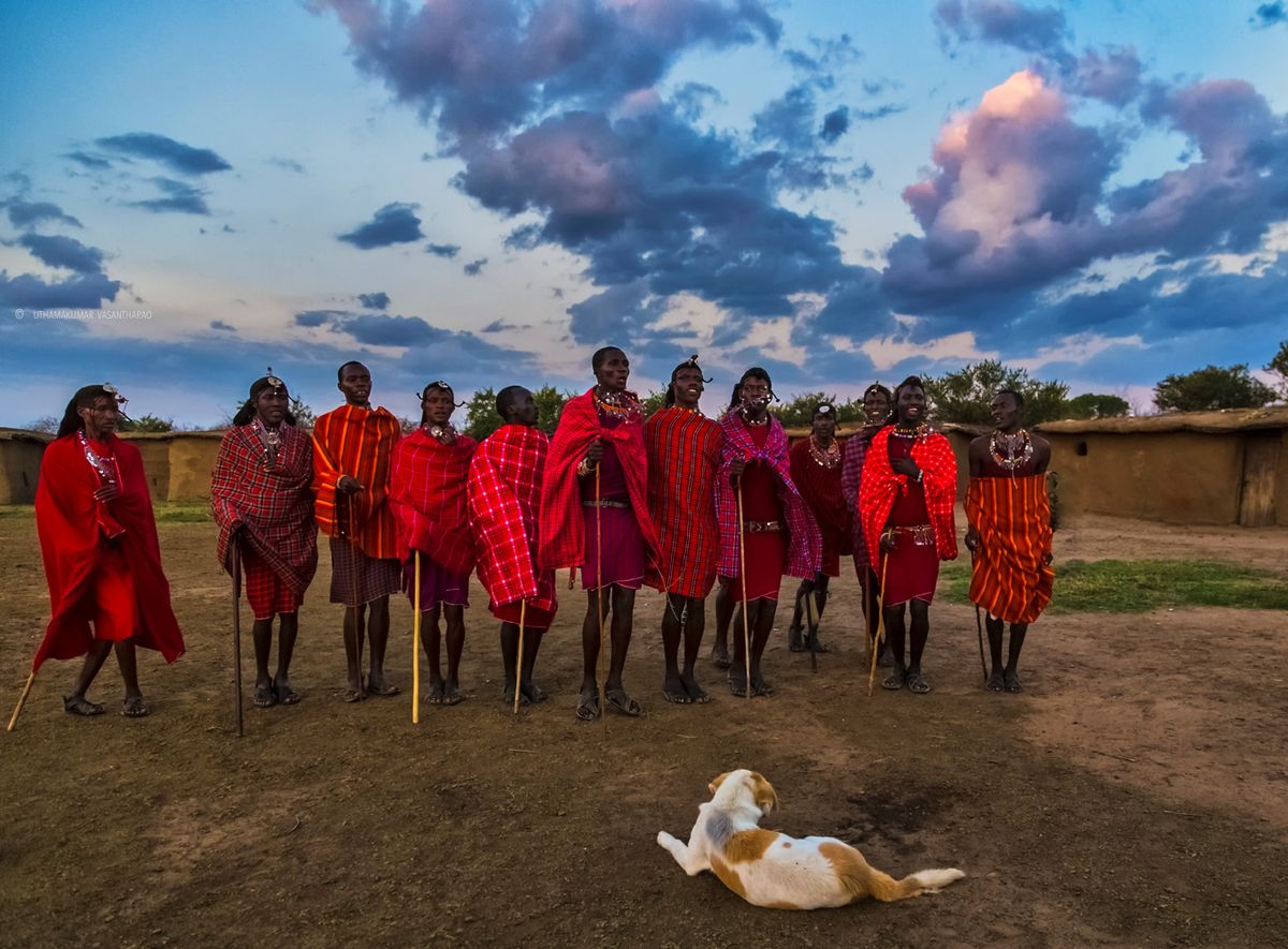 Masai Mara Safari