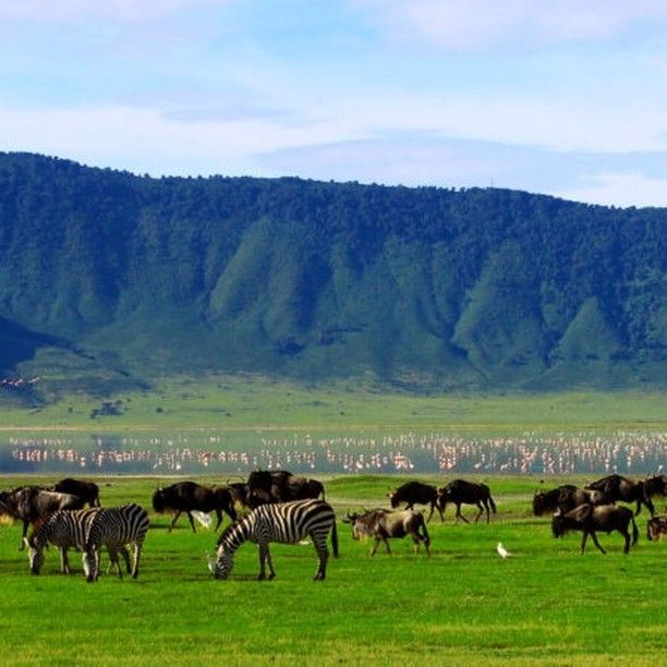Ngorongoro Crater