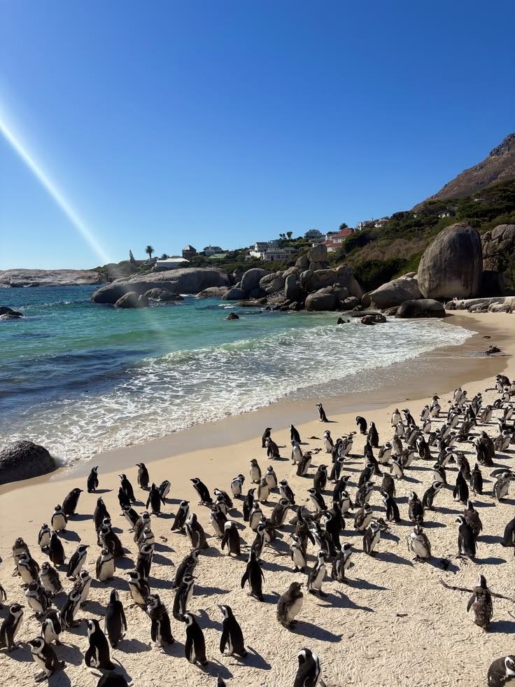 South Africa Ultimate