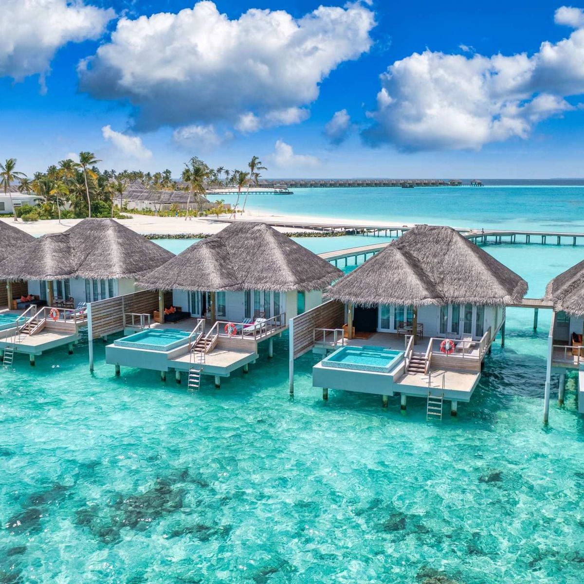Maldives honeymoon