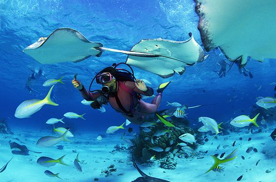 Maldives Diving
