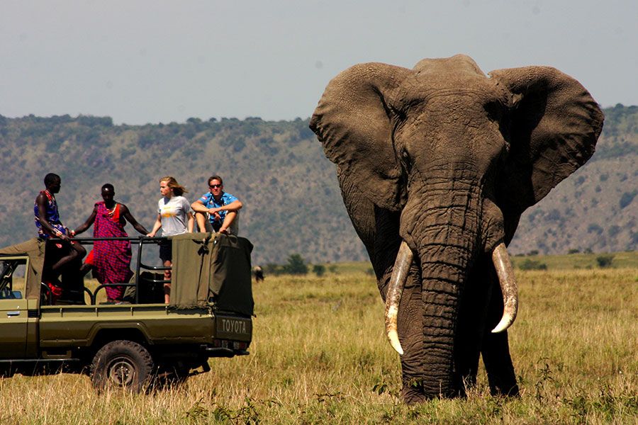 Masai Mara safari Kenya