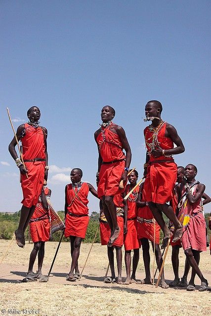 Kenya safari